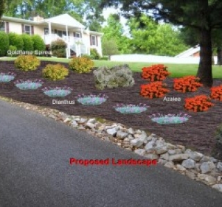 Proposed Landscape