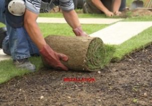 SOD Installation