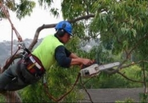 Pressure Washing